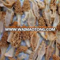 Dried Morels Mushroom 250g Special Grade