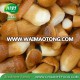 On Sale New Crop With Good Quality Bulk in Brine Boletus Edulis Mushroom