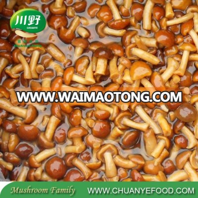 Wholesale 2017 New Nameko in Brine Pholiota Nameko Mushroom