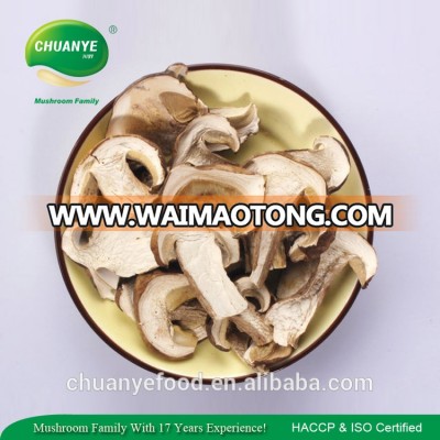 Bulk Package Crop Wild Dried Funghi Organic Slice Porcini Mushroom