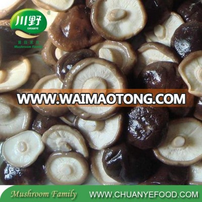 Hot Sale Whole Shiitake Mushroom in Brine in Drum