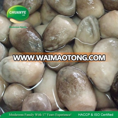 High Grade Whole Canned Straw Mushroom in Brine