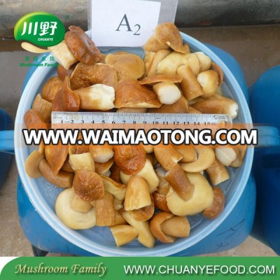 High Grade  Wholesale Whole or cut Boletus Edulis in Brine