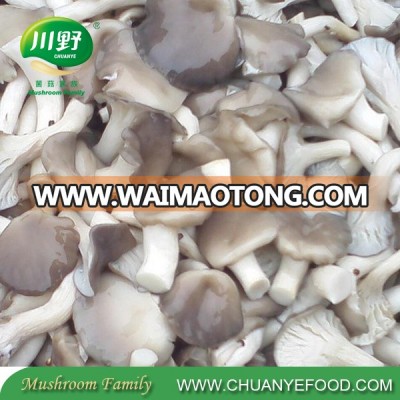 Wholesale Canned King Oyster Mushroom 1kg Price Canned Mushroom