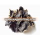 Dried black fungus mushroom- Export Standard Price